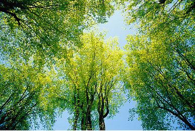 《啤酒修道院》2月18日Steam抢测 像素风建造模拟经营